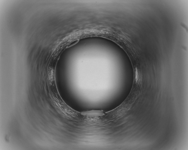X0000102801492200808181149