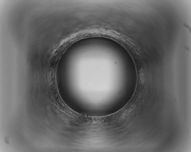X0000102801494200808181149