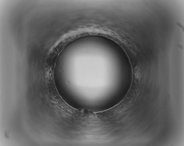 X0000102801495200808181149