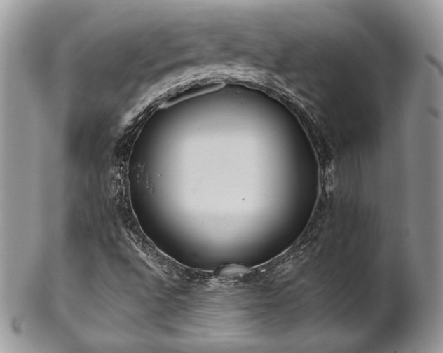 X0000102801496200808181149
