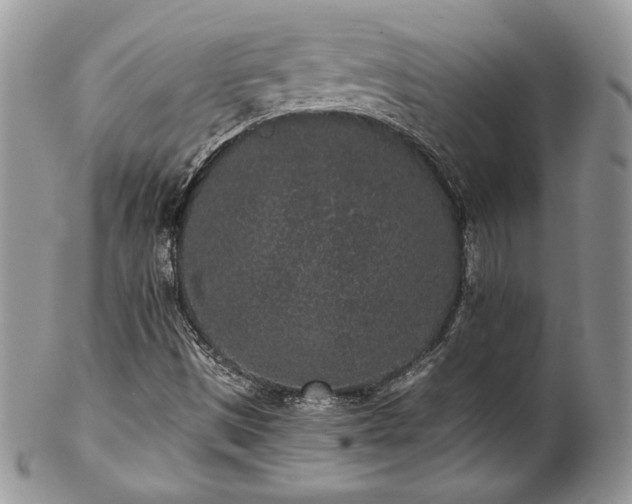 X0000102801497200808181149