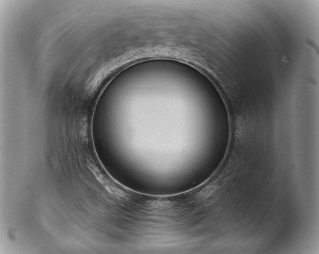 X0000102801499200808181149