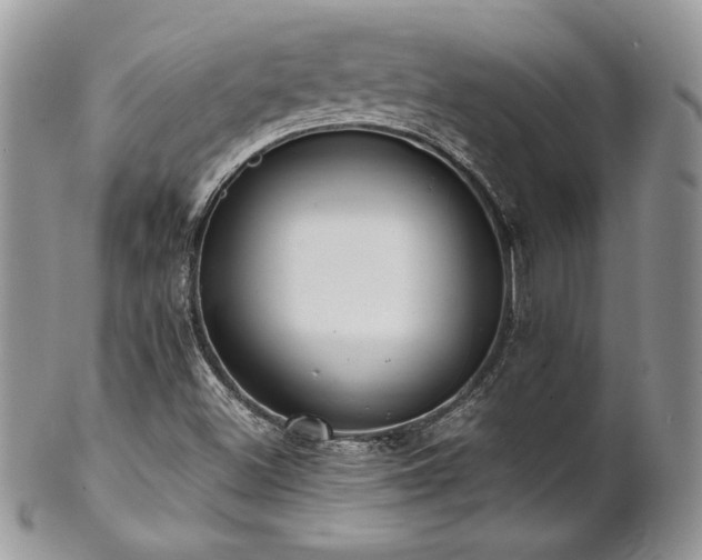 X0000102801500200808181149