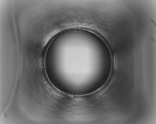 X0000102801501200808181149