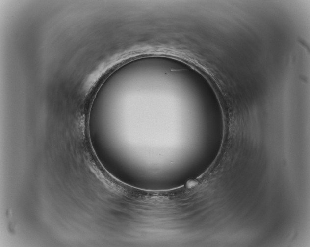 X0000102801503200808181149