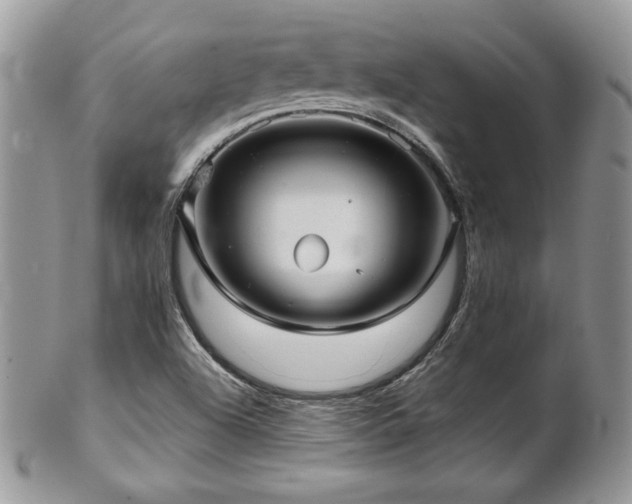 X0000102801504200808181149
