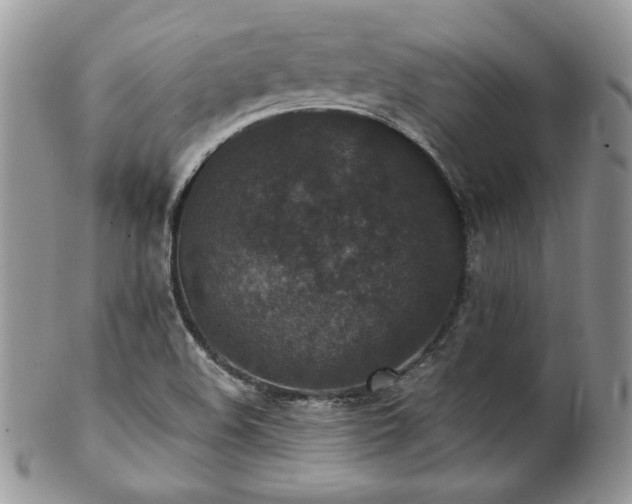 X0000102801508200808181149