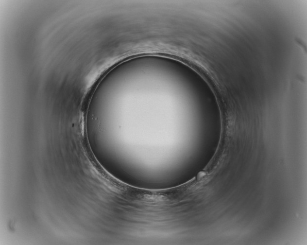 X0000102801509200808181149