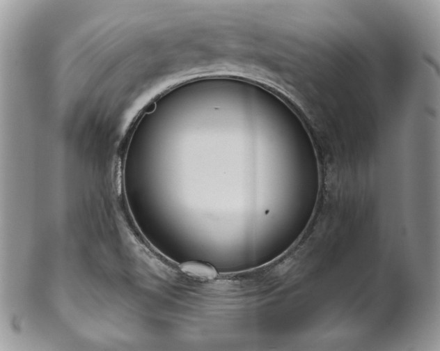 X0000102801510200808181149