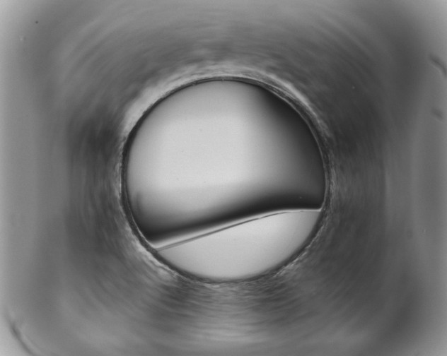 X0000102801512200808181149