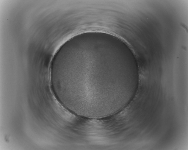 X0000102801514200808181149