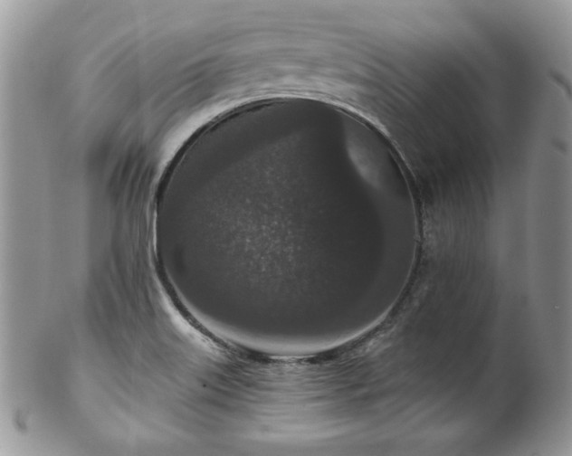 X0000102801515200808181149