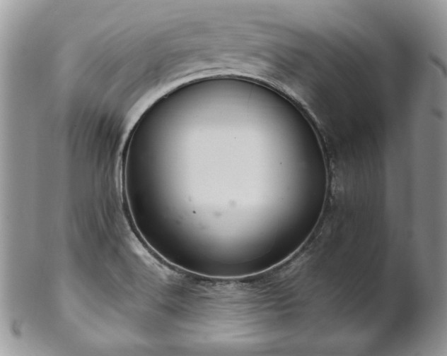 X0000102801516200808181149