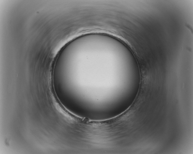 X0000102801518200808181149