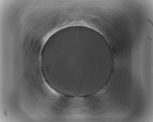 X0000102801519200808181149
