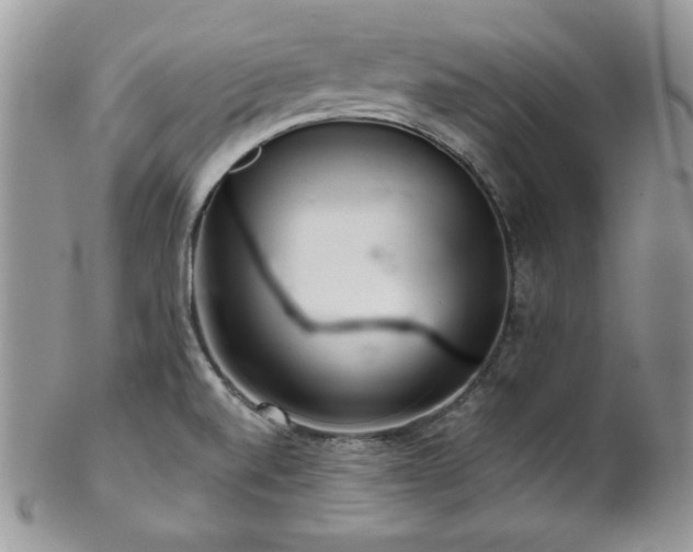 X0000102801520200808181149
