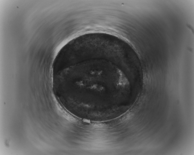 X0000102801522200808181149