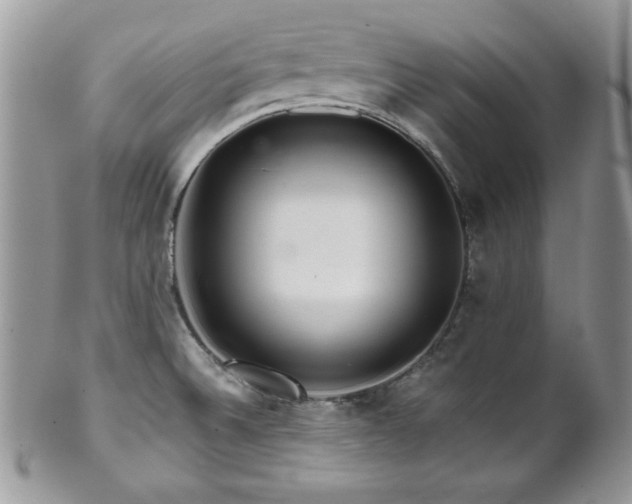 X0000102801524200808181149