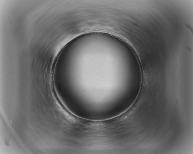 X0000102801525200808181149