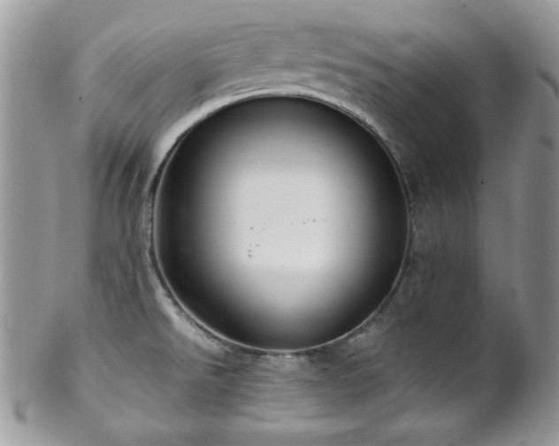 X0000102801526200808181149