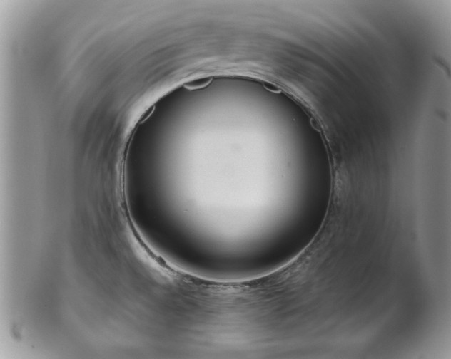 X0000102801528200808181149