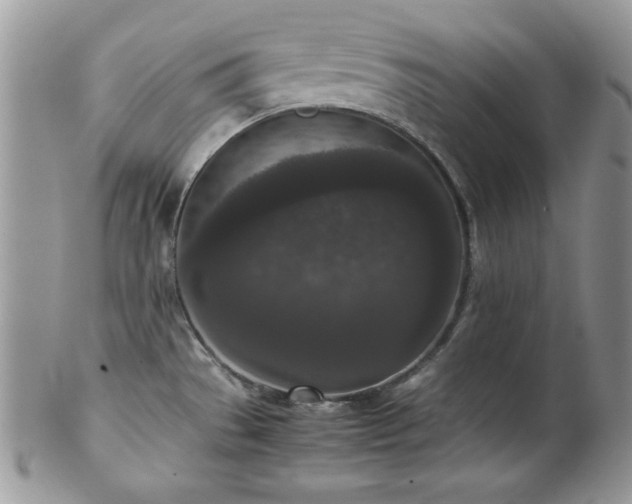 X0000102801529200808181149