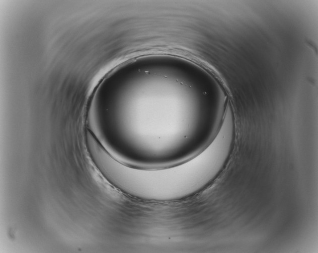 X0000102801530200808181149