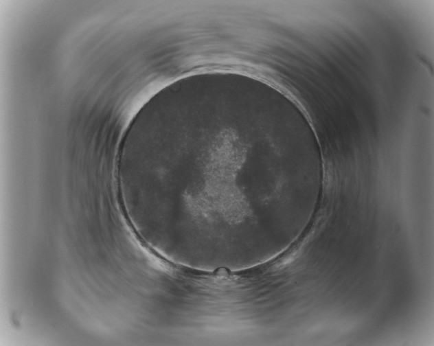 X0000102801533200808181149