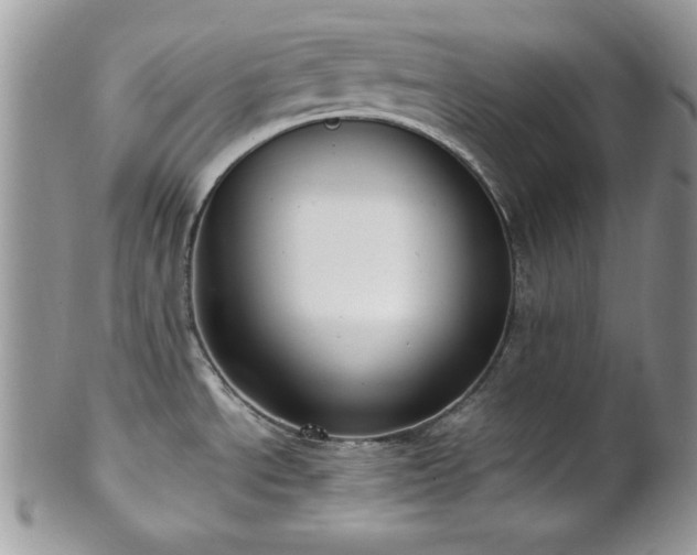 X0000102801534200808181149