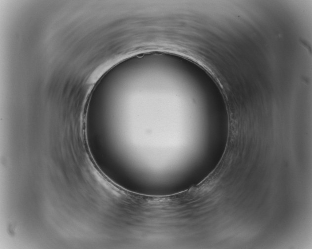 X0000102801535200808181149