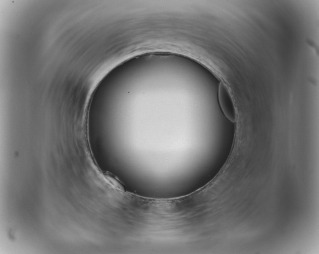 X0000102801536200808181149