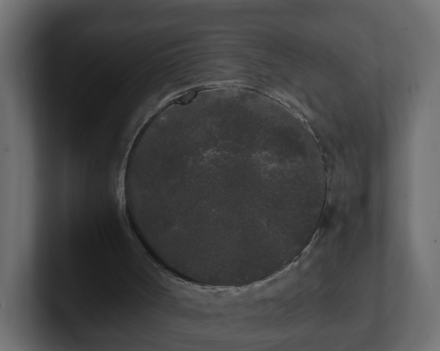 X0000102800002200808251058