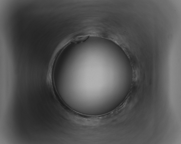 X0000102800004200808251058