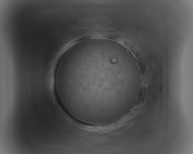 X0000102800005200808251058