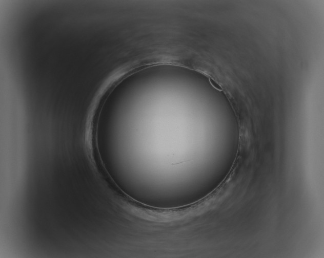 X0000102800006200808251058