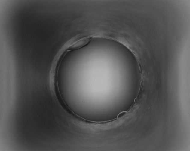 X0000102800007200808251058