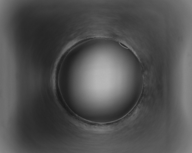 X0000102800008200808251058