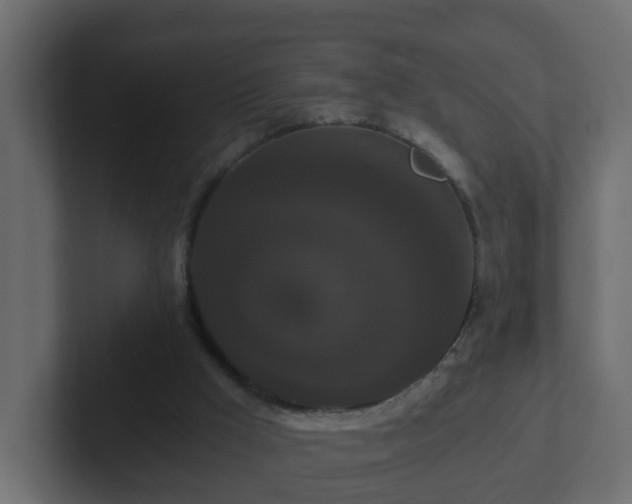 X0000102800009200808251058