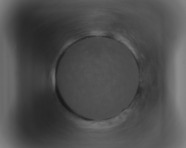 X0000102800011200808251058