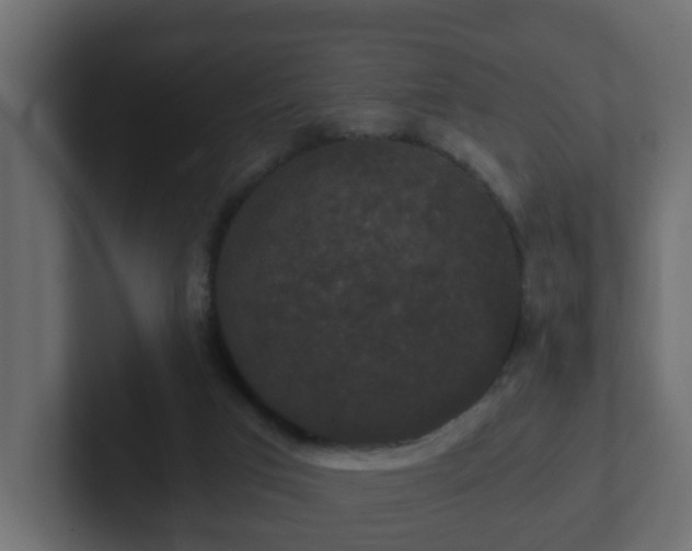 X0000102800017200808251058