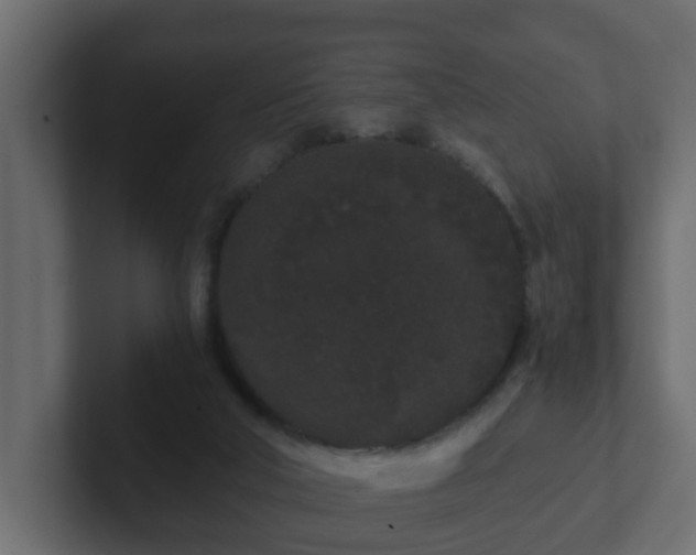 X0000102800018200808251058