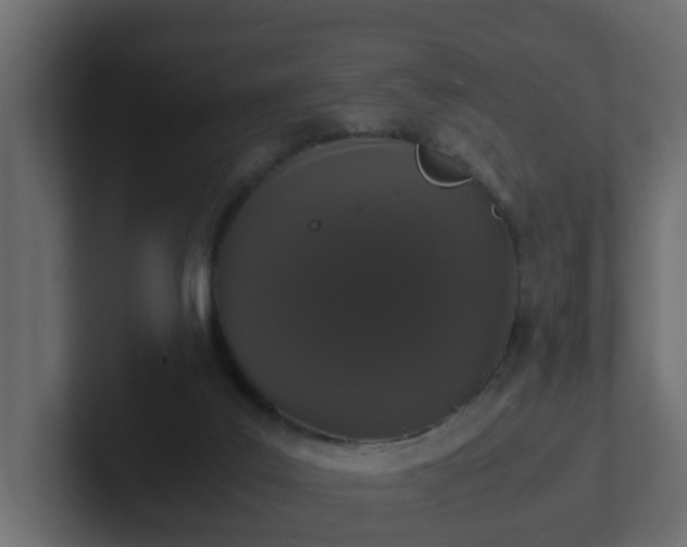 X0000102800019200808251058