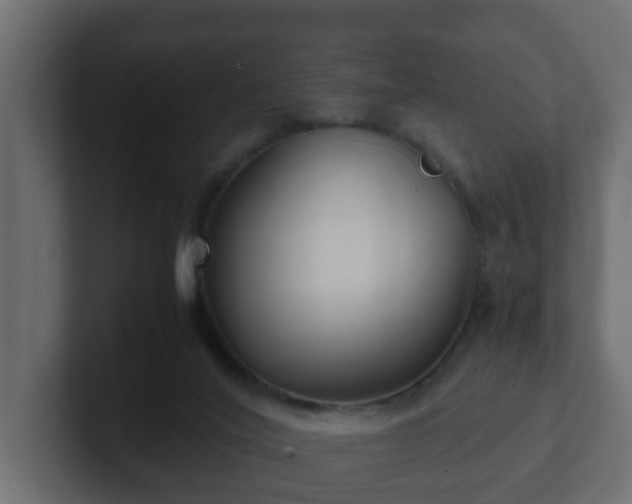 X0000102800020200808251058