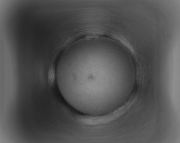 X0000102800021200808251058