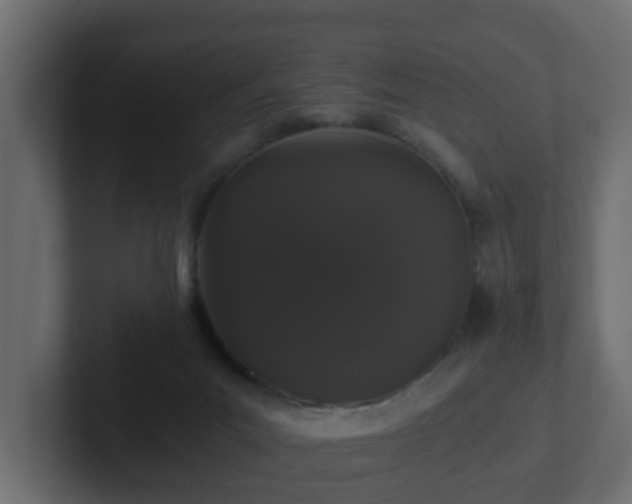 X0000102800023200808251058