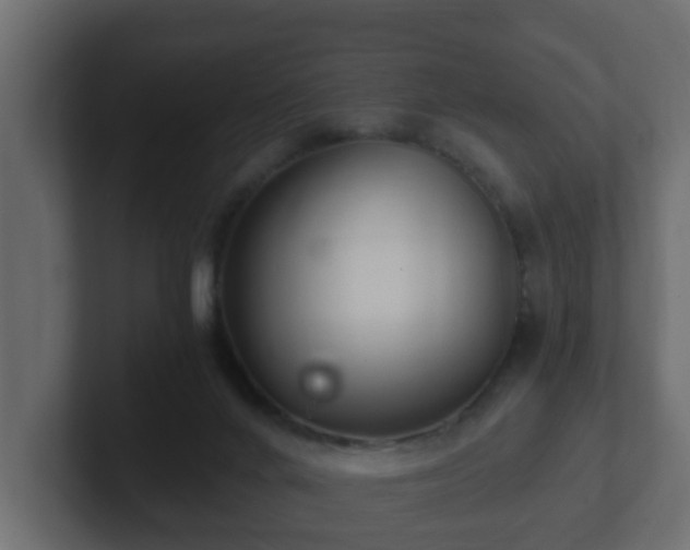 X0000102800024200808251058