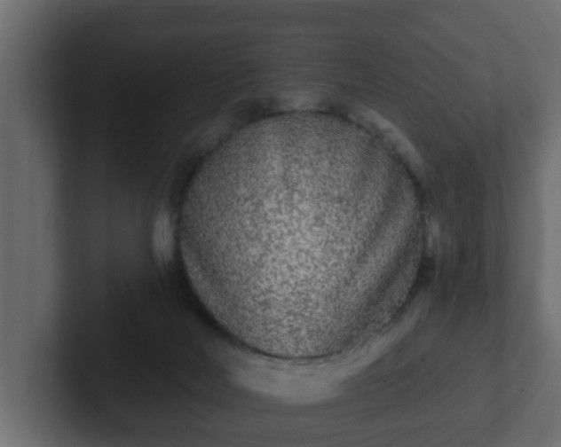 X0000102800026200808251058