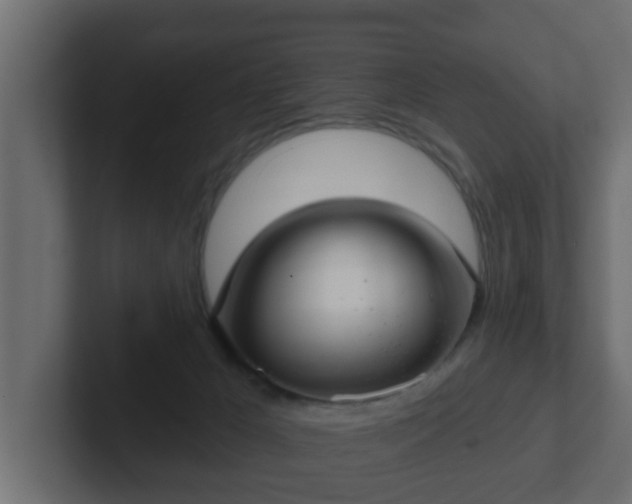 X0000102800029200808251058