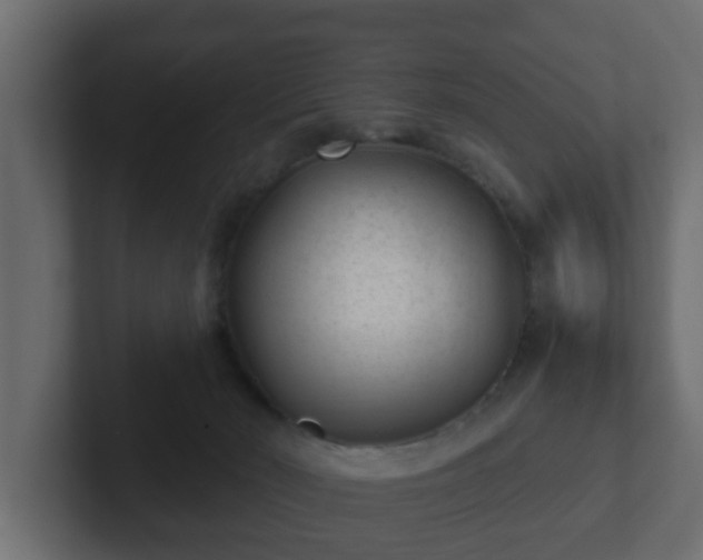 X0000102800030200808251058