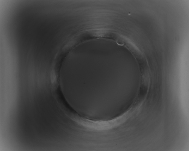 X0000102800031200808251058